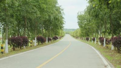 高基庙镇：“四好农村路”兴产业富百姓美乡村 