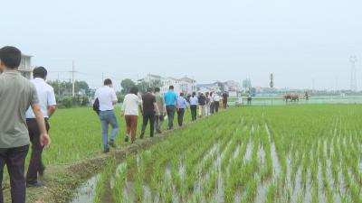 自然资源部调研我市山水林田湖草沙项目实施进展情况