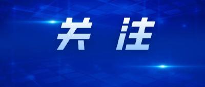 2023年“桃源小镇”杯石首市第十届夏季男子篮球联赛开幕