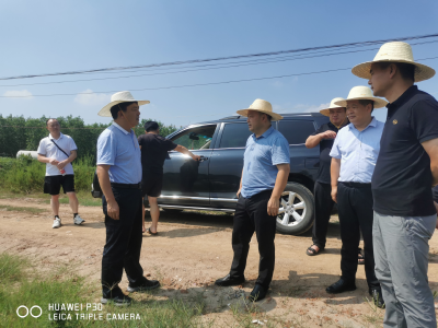 市领导调研天鹅洲泵站新建项目建设工作