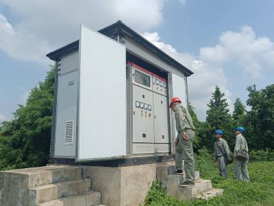 “电保姆”心系湿地麋鹿  绘就生态保护大美画卷