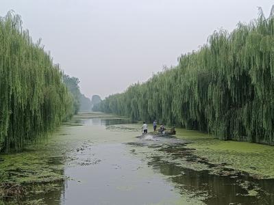 久合垸乡：河湖常“清漂”水清岸美更宜居