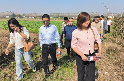 长江大学专家团队指导石首市先行县揭榜项目建设