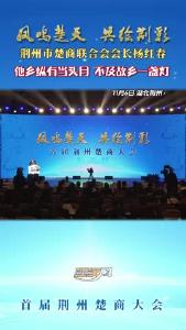 荆州市楚商联合会会长杨红春：他乡纵有当头月 不及故乡一盏灯