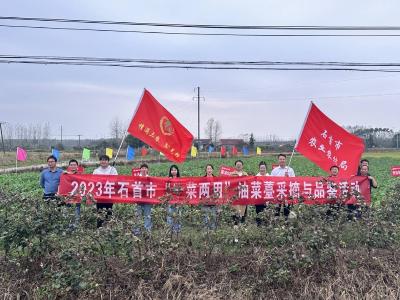 市农业技术推广中心开展油菜薹采摘与品鉴活动