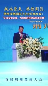 汇聚楚商力量，为加快荆州建设做出贡献