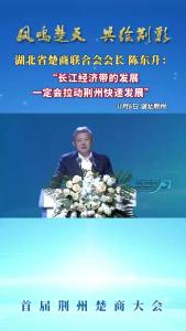 湖北省楚商联合会会长陈东升：长江经济带的发展一定会拉动荆州快速发展