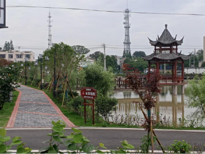 石首市团山寺镇：深化环境整治 臭水沟变身生态法治公园