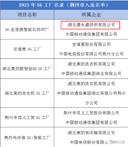 国家级5G工厂名录！石首这家公司入选！