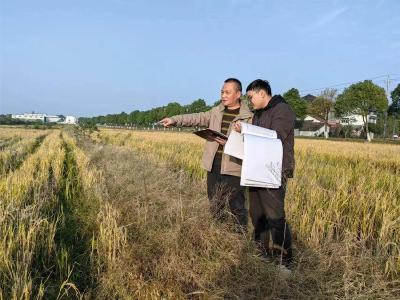 石首市审计局关注农田生态系统修复情况