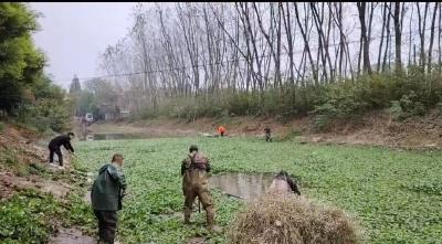 石首市绣林街道办事处：全面清理湿地漂浮物不留死角