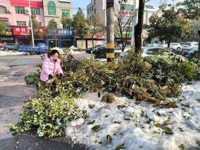 铲冰除雪——石首市审计局在行动