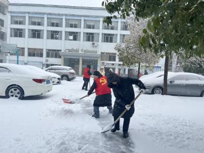 清雪除冰 暖心护行——巾帼志愿者们在行动