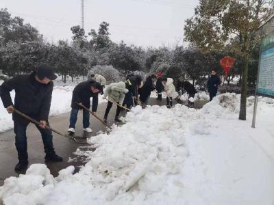 石首市团山寺镇：铲雪除冰 确保福利院居民温暖与安全