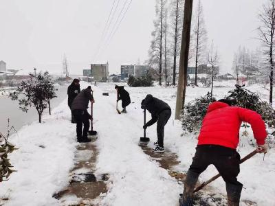 石首市天鹅洲生态旅游经济开发区新堤村党员群众齐上阵 铲雪除冰保畅通