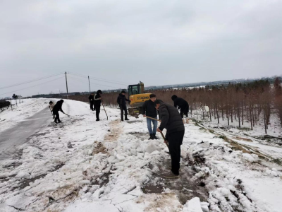 石首市原种场破冰铲雪抗灾减灾行动受到群众好评