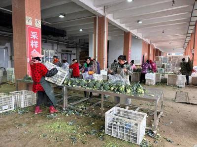 石首市各蔬菜中转站加紧火力迎春节 做好“外运内销”