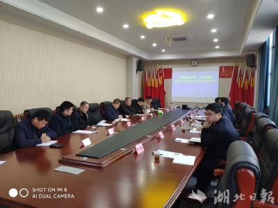 石首市领导调研石首市楚商联合会