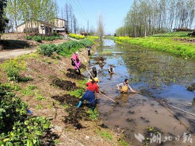 石首市久合垸乡：开展“清渠洁岸·共同缔造”活动