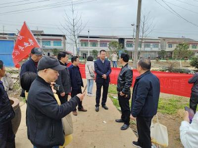 石首市团山寺镇：集中育秧技术培训 助力春耕提质增效