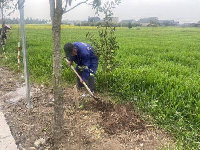 石首市小河口镇杨苗洲村开展志愿植树活动