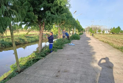 石首市高陵镇周家湖村：唱响共同缔造 推进清渠洁岸