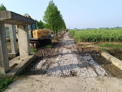 石首市高陵镇周家湖村：小碎石铺就村民致富路