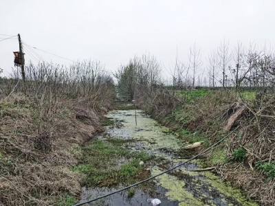 石首市笔架山街道办事处：治理黑臭水体 留住一抹乡愁