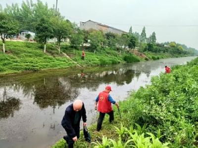 石首市东升镇：开展清渠洁岸 共建美丽乡村