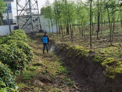 石首市自然资源和规划局驻笔办新洲社区工作队“清渠洁岸•共同缔造”工作显成效