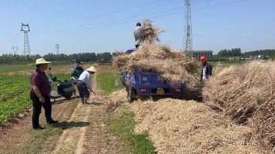 石首市笔架山街道多措并举共助秸秆禁烧见行见效