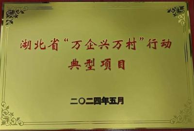 石首市天字号瓜蔬土地股份专业合作社荣获全省“万企兴万村”行动优秀案例