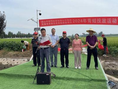 石首市团山寺镇长安村：15万只青蛙投放田间 助力水稻绿色高质量发展