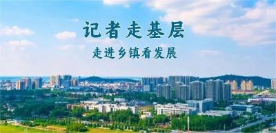 企业15家！看石首市高陵镇全力盘活九龙都工业园→