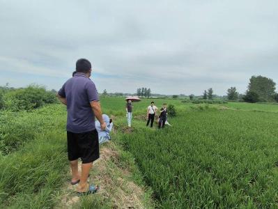 石首农技专家深入田间“把脉” 指导灾后水稻病虫害防治