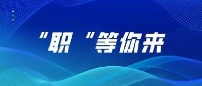 石首市2024年百日千万网络招聘会（七）