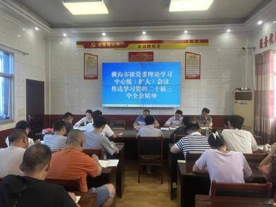 石首市横沟市镇掀起学习宣传贯彻党的二十届三中全会精神热潮