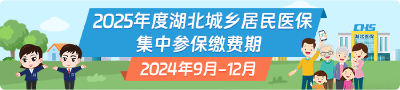 湖北“医保钱包”来啦！跨省能共济，近亲属共用
