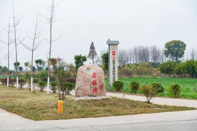 石首市高基庙镇：旧貌换新颜，村巷展新姿