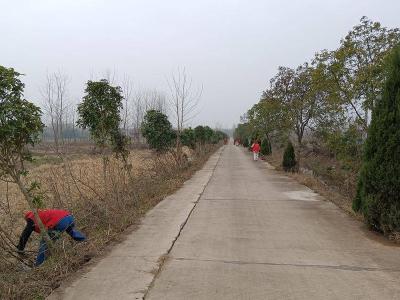 石首市久合垸乡：干群同心协力持续推进清洁家园环境卫生整治