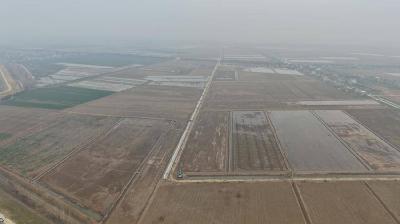 石首市小河口镇：“小田并大田”改革助力农业提质增效