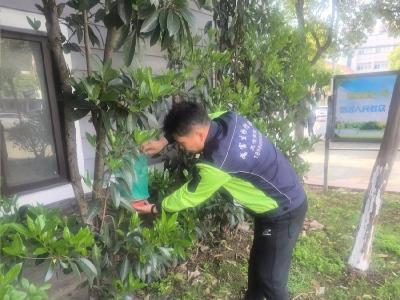 石首市疾控中心开展4月份病媒生物密度监测工作