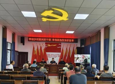 石首市南口镇各村（社区）党组织集中开展“三会一课”活动