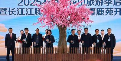 超燃！2025桃花山旅游季现场！你错过的都在这里→