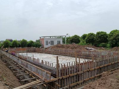 石首市小河口镇“水花行动”项目进展迅速 完成整体进度60%