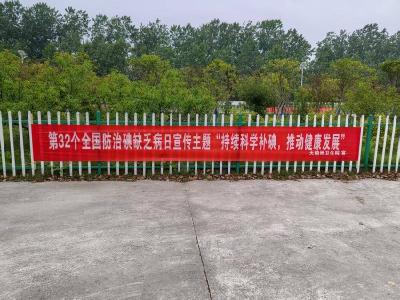 石首市天鹅洲卫生院开展碘缺乏病日宣传活动