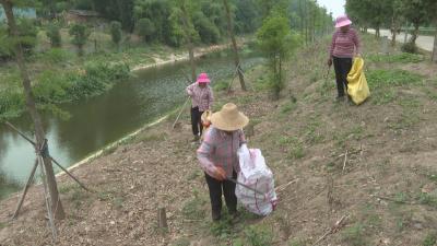 石首市笔办开展“清网除患 护水净岸”行动 守护河湖生态