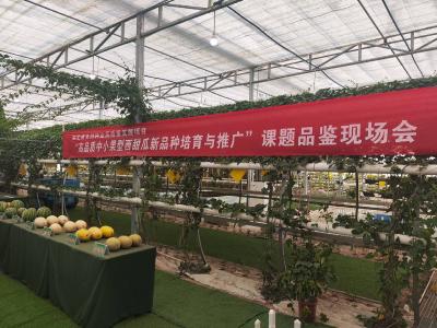 以种业