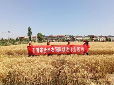 石首合丰农服：用心守护麦收季 助力夏粮颗粒归仓