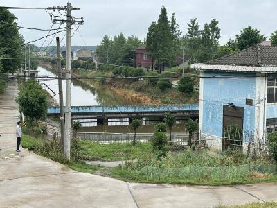 石首市团山寺镇多措并施为农业生产“解渴”